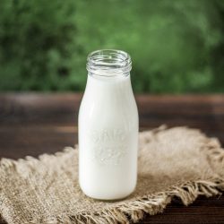 Leche vegetal con frutos secos